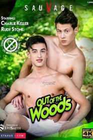 Out Of The Woods