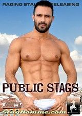 Public Stags
