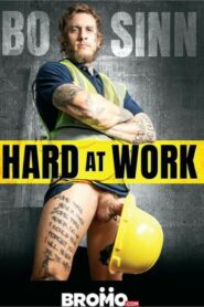 Bo Sinn: Hard at Work