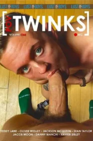 POV Twinks