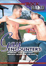 Gay Encounters